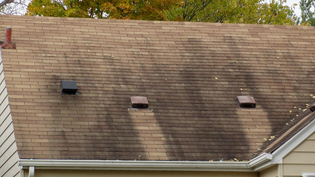 discolored roof