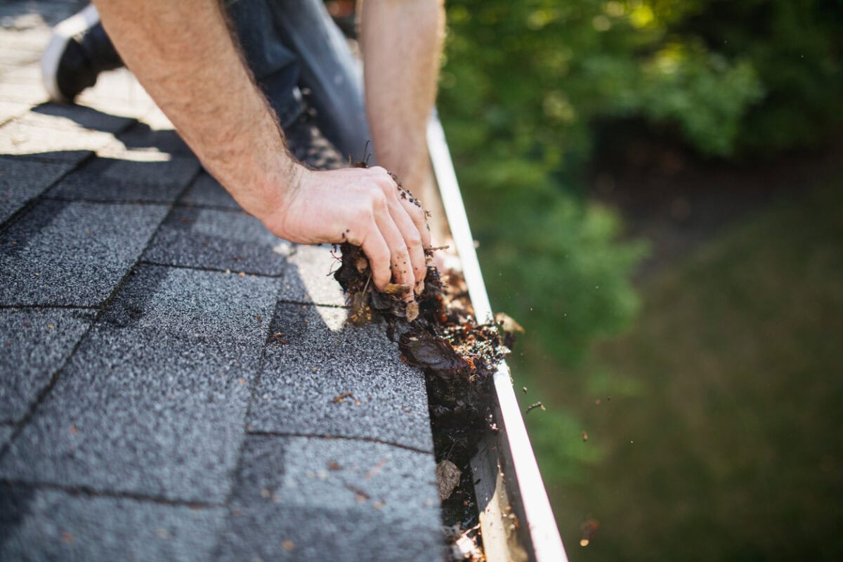 A Caucasian man’s hands scoop out fallen leaves and pine needles from the rain gutters of his house in the Pacific Northwest.